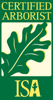 Certified Arborist Chattanooga, TN Lumberjacks